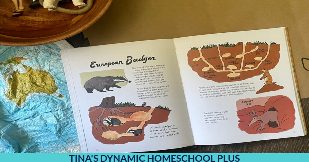 Learn About Indigenous Animal Geography Fun Activity for Preschool to Elementary