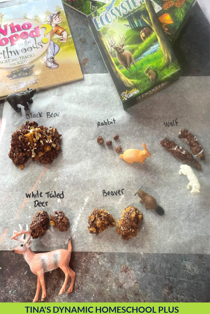 10 Gross Scat Facts and How to Make Edible Scat