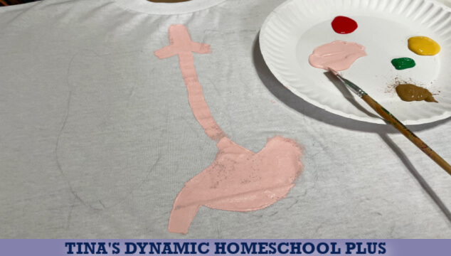 7 Human Body Facts and Kids Human Body T-Shirt Project