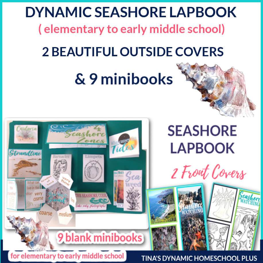 Seashore Watching Unit Study and Beach Lapbook
