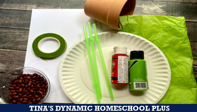 Carnivorous Plants For Kids and Make a Fun Paper Plate Venus Flytrap Craft