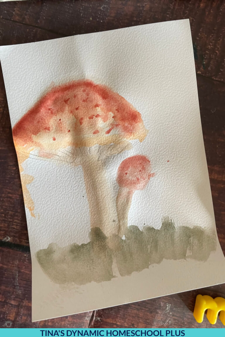 Free Life Cycle of a Mushroom Worksheet &amp; Fun Meringue Mushrooms