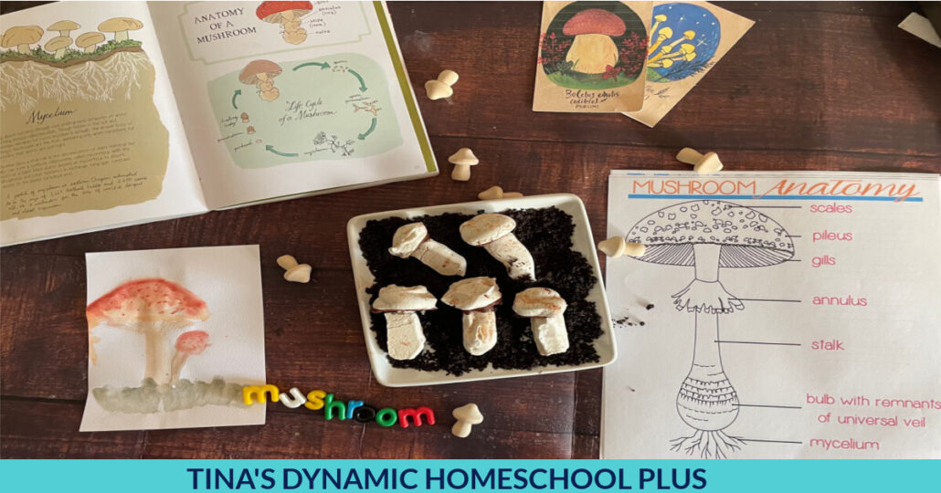 Great Homeschool Organization and Storage Ideas