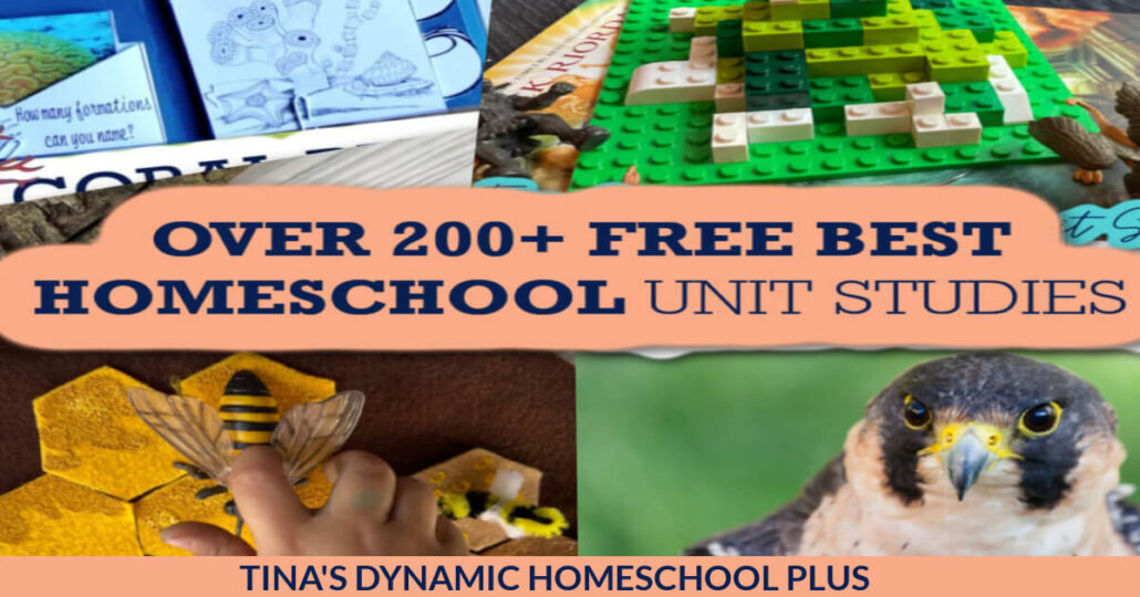 Best Homeschool Unit Studies