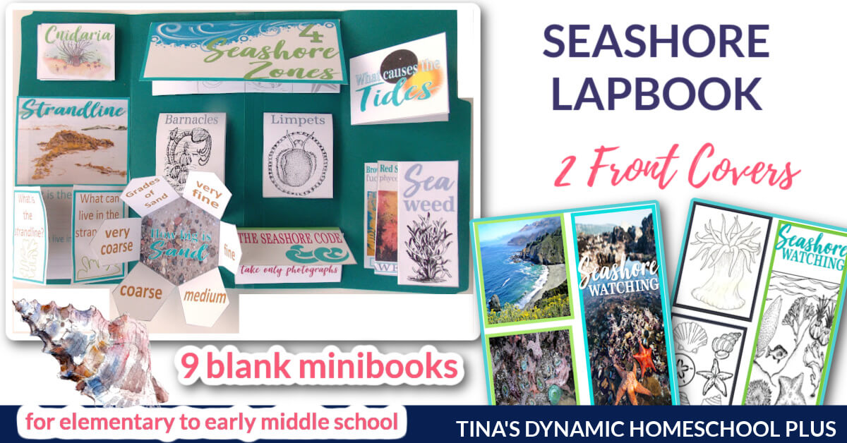 Free Super Seashore Watching Unit Study and Beach Lapbook