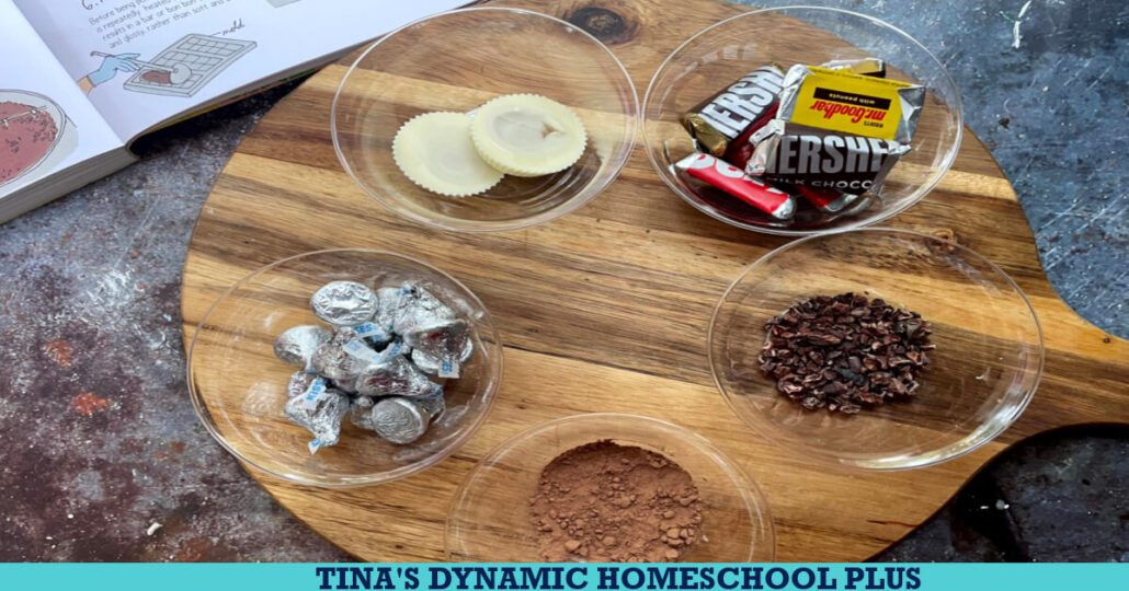 Fun Chocolate Unit Study and DIY Chocolate Candy Bar Activity