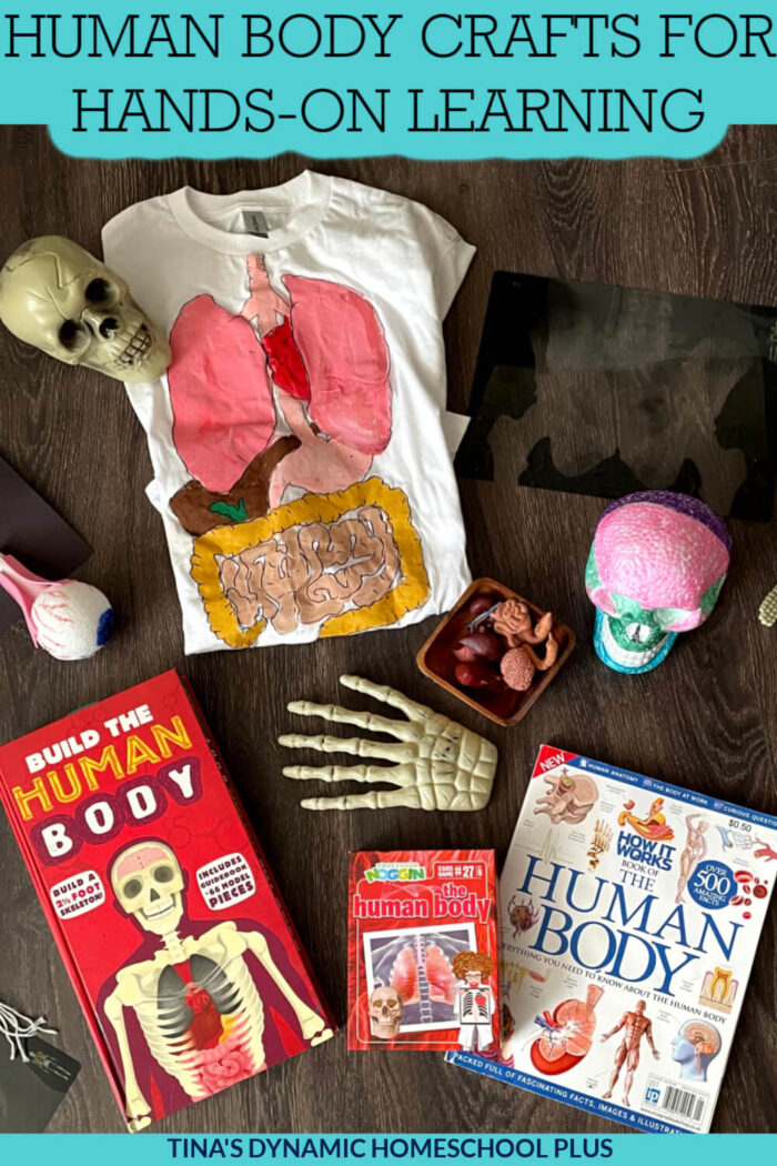 Fun Human Body Crafts For Kids Who Love Hands on Learning
