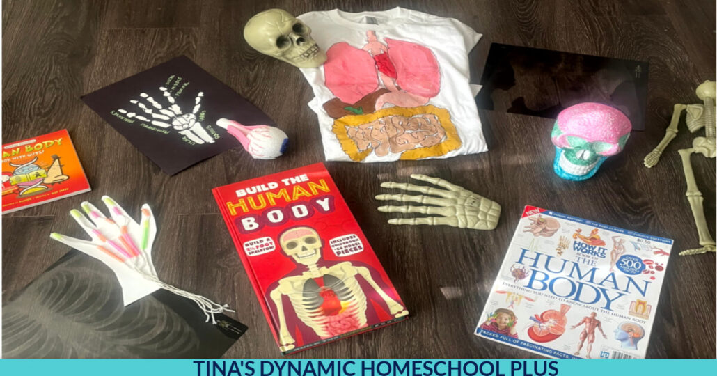 Fun Human Body Crafts for Kids Who Love Hands-on Learning
