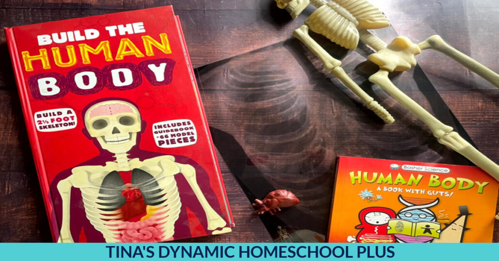 Fun Resources and Books About The Human Body For Preschoolers
