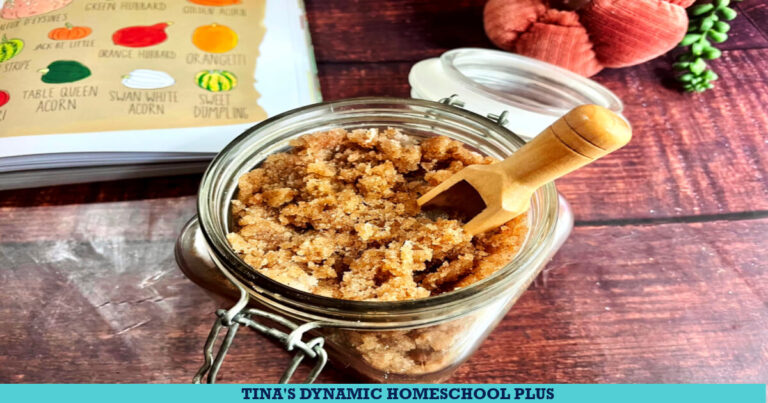 How to Make Pumpkin Spice Body Scrub & 7 Fall DIY Crafts For Teens