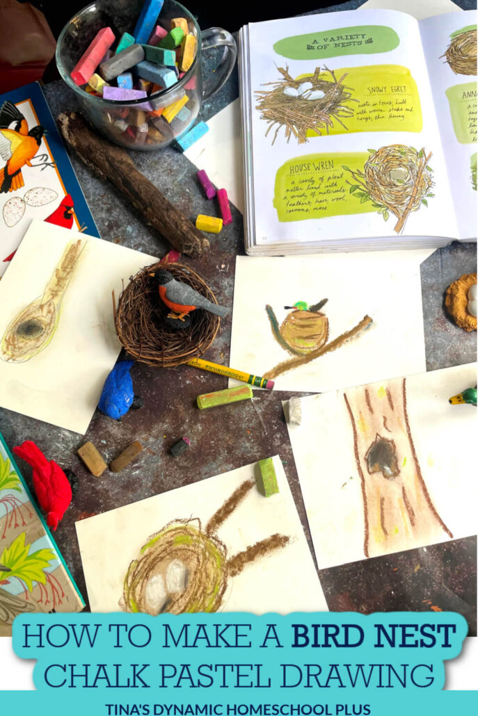Bird Nest Craft for Preschoolers • In the Bag Kids' Crafts