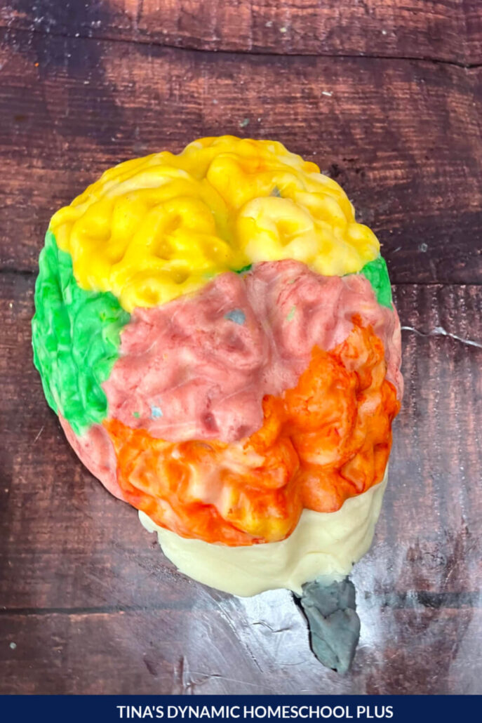 How to Make a Fun Hands-on Playdough Brain Activity