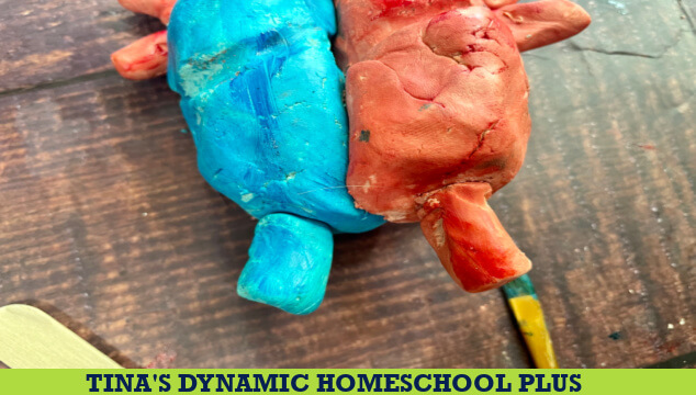 How to Make a Human DIY Heart Model Easy Craft for Kids