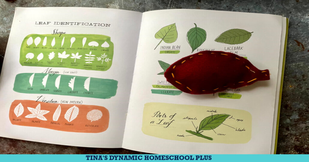 Make Cute Felt Leaf Sachets For Fall Leaf Crafts for Preschoolers