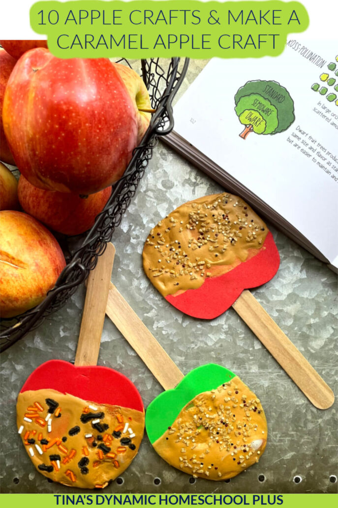 10 Fall Apple Crafts and Make a Caramel Apple Craft on a Stick