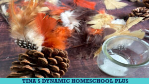 10 Fun Crafts to Do with Pinecones and a Turkey Pinecone Craft for Kids