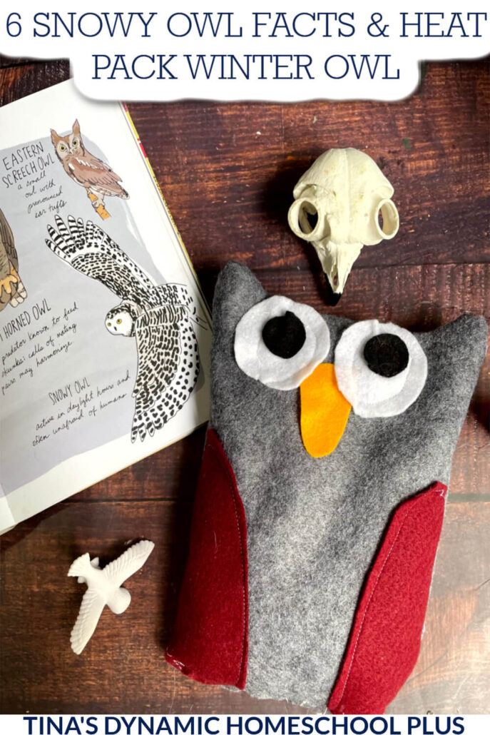 6 Facts About the Snowy Owl & Stuffed Heat Pack Winter Owl Craft