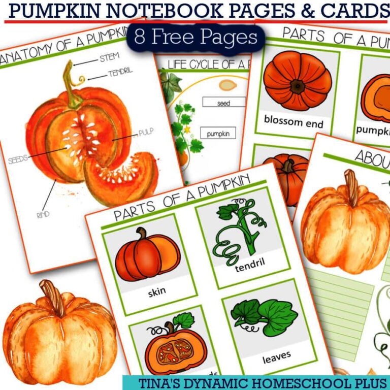 Pumpkin Anatomy | Kids Exploring the Parts of a Pumpkin And Printables