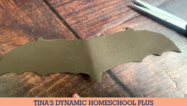 Fun Bat Anatomy Toilet Paper Roll Craft | 8 Bat Science Activities Preschool