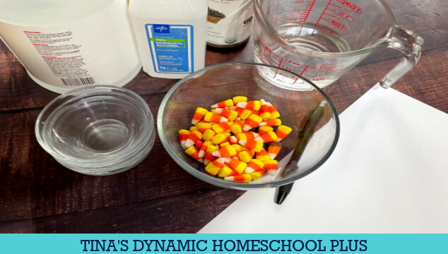 Fun Candy Corn Stem Activity Which Liquid Dissolves Candy Corn Faster
