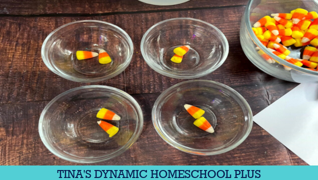 Fun Candy Corn Stem Activity Which Liquid Dissolves Candy Corn Faster