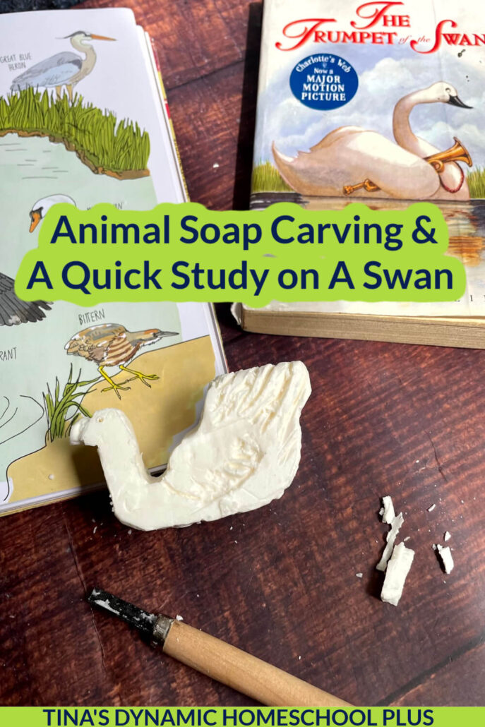 How To Make A Fun Animal Soap Carving & A Quick Study on A Swan
