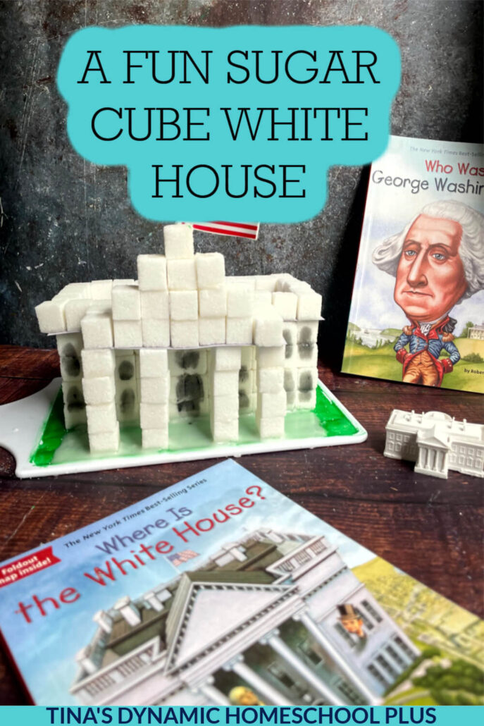 How to Build a Fun White House Sugar Cube George Washington Craft