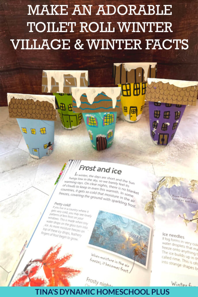 10 Toilet Paper Roll Winter Crafts | Make An Adorable Toilet Roll Winter Village