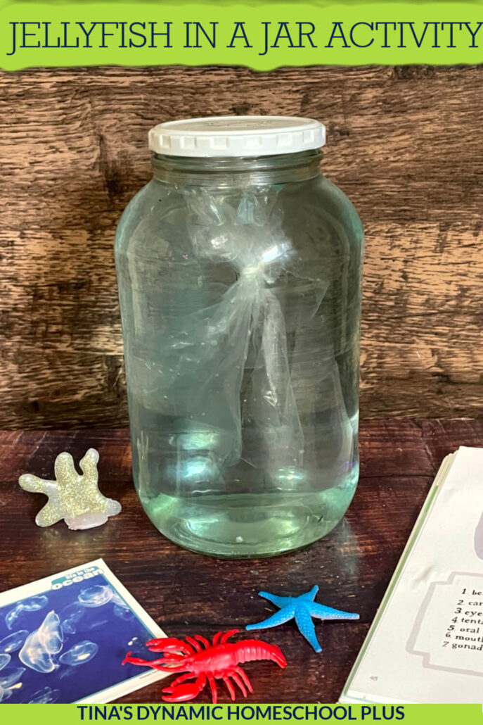 Celebrate World Jellyfish Day With A Jellyfish in a Jar Preschool Activity