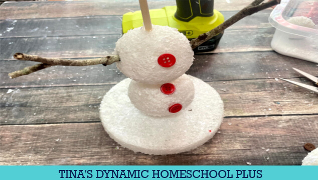 Fun Styrofoam Snowman Art Activity & 5 Facts About The Wonders of Winter