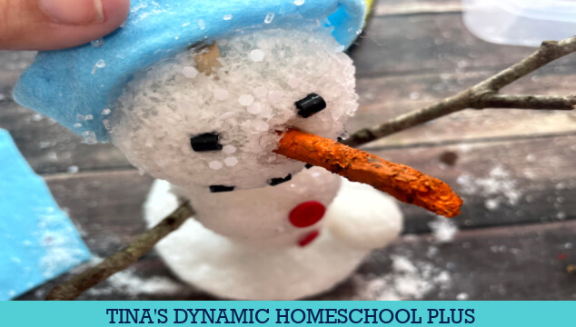 Fun Styrofoam Snowman Art Activity & 5 Facts About The Wonders of Winter