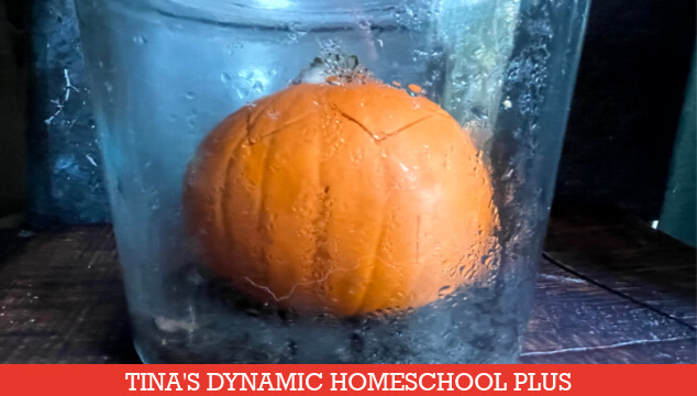 How To Do An Easy Science Pumpkin Study By A Rotting Pumpkin Experiment