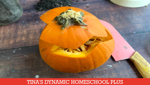 How To Do An Easy Science Pumpkin Study By A Rotting Pumpkin Experiment