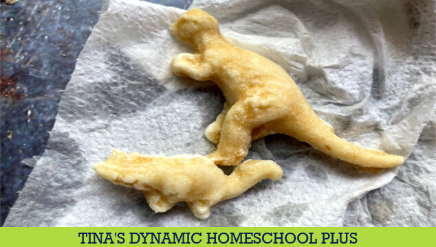 Make Fun Edible Fossils and Free Magic School Bus Fossils Worksheet