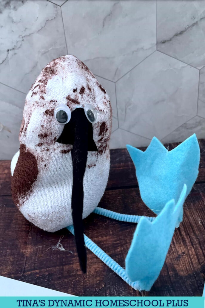 How To Make A Blue-Footed Booby Bird Craft