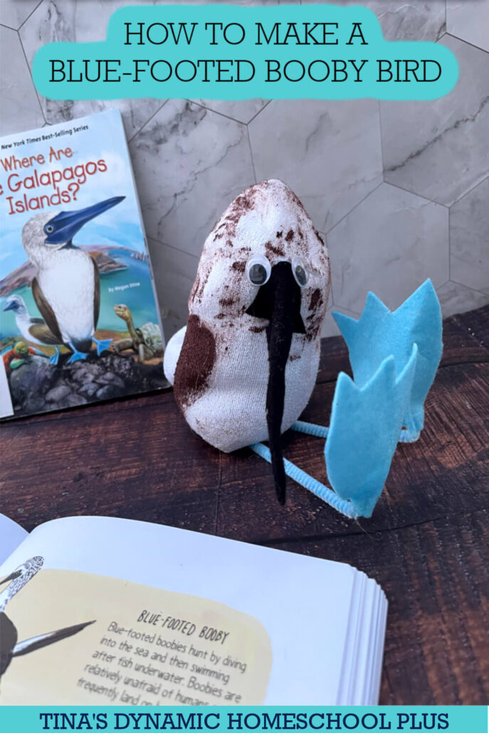 How To Make A Blue-Footed Booby Bird Craft