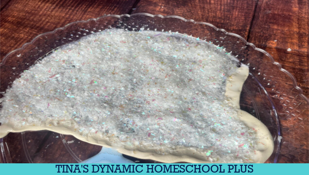 How to Make an Easy Antarctica Diorama With Your Kids