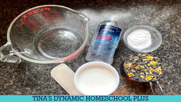 The Colorful Blue Jays Winter Food | Make Fun Seed Slime