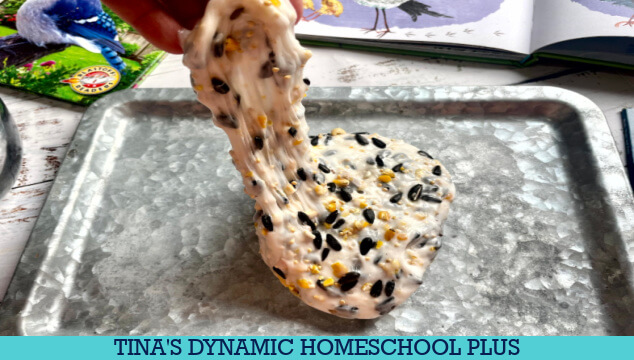 The Colorful Blue Jays Winter Food | Make Fun Seed Slime