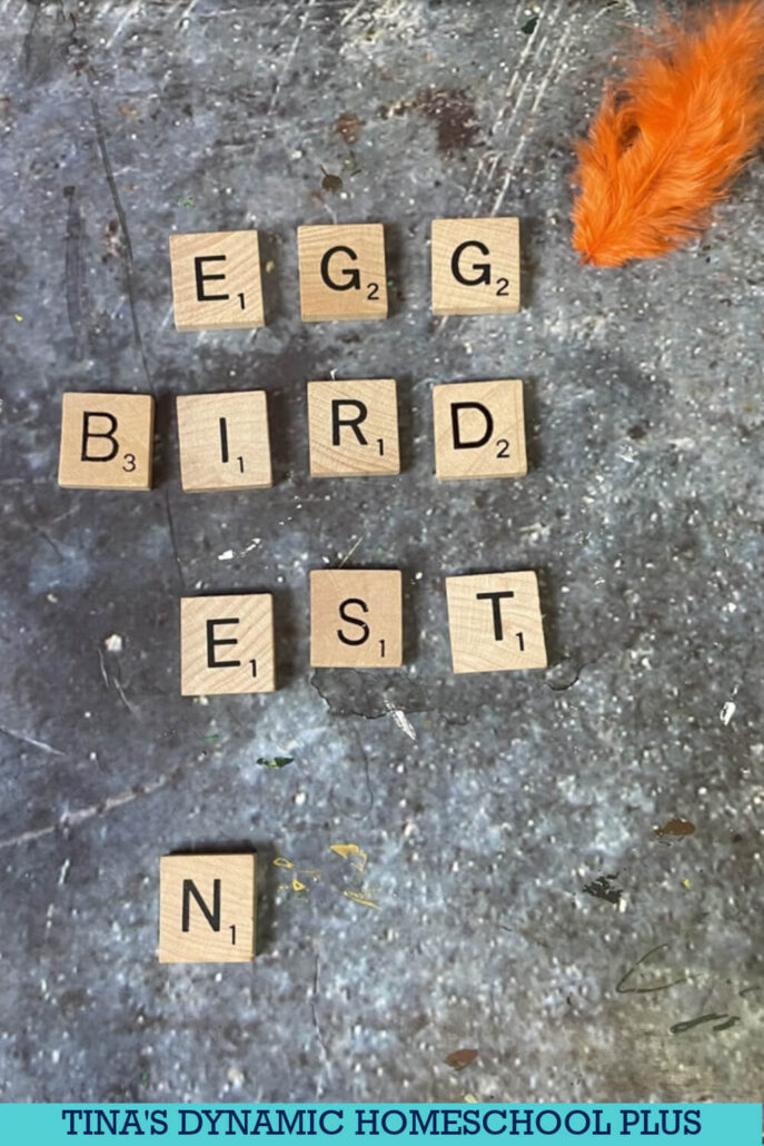B is for Bird Craft | Free Preschool Bluebird Study