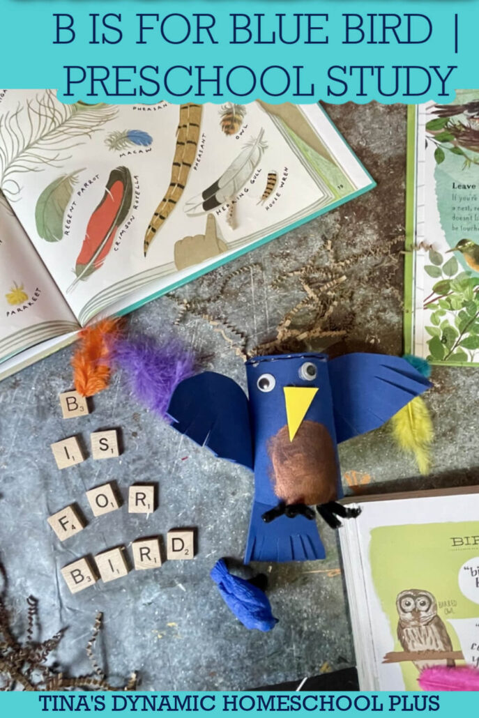 B is for Bird Craft | Free Preschool Bluebird Study