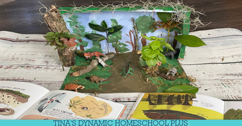 How to Make An Everglades Diorama: Explore the Wild Wetlands