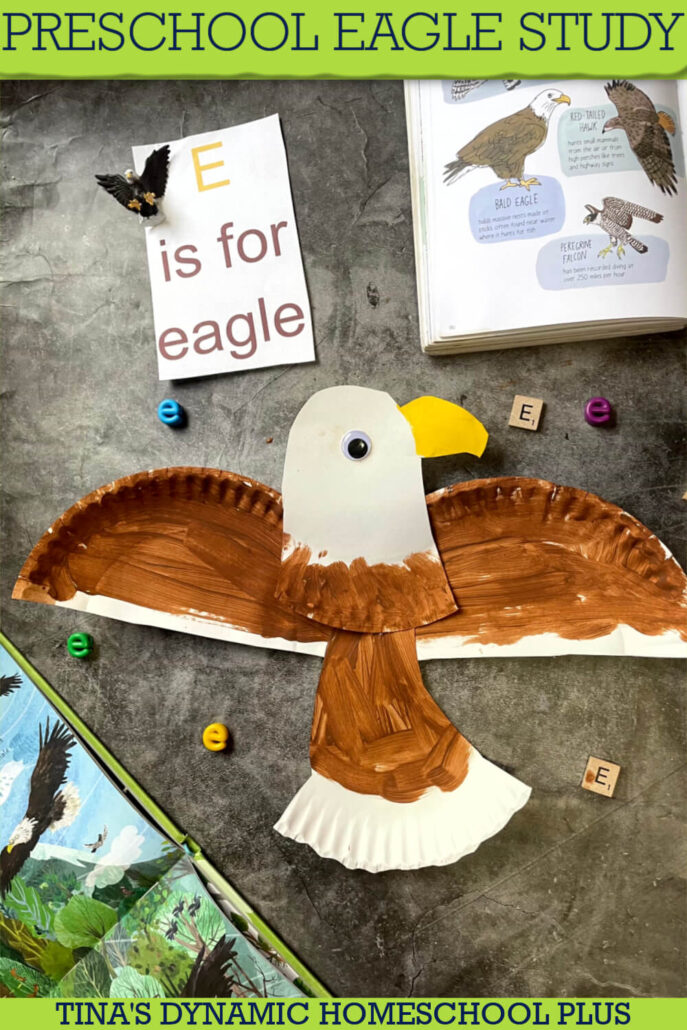 Letter E Is For Eagle Easy Preschool Eagle Study