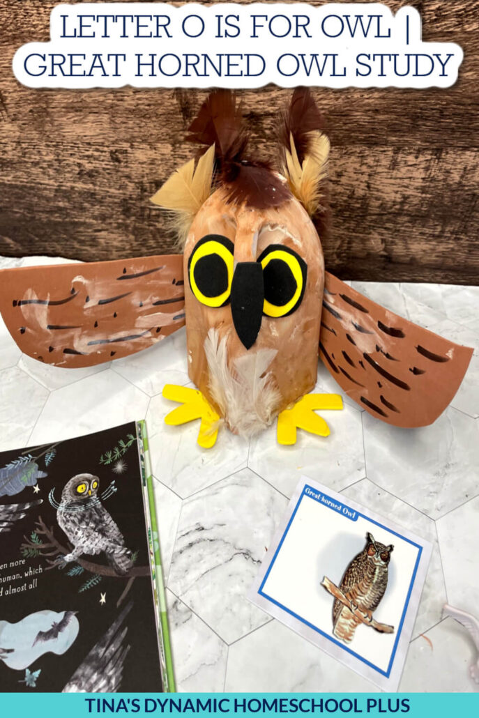 Letter O is for Owl Preschool Craft | Fun Great Horned Owl Study