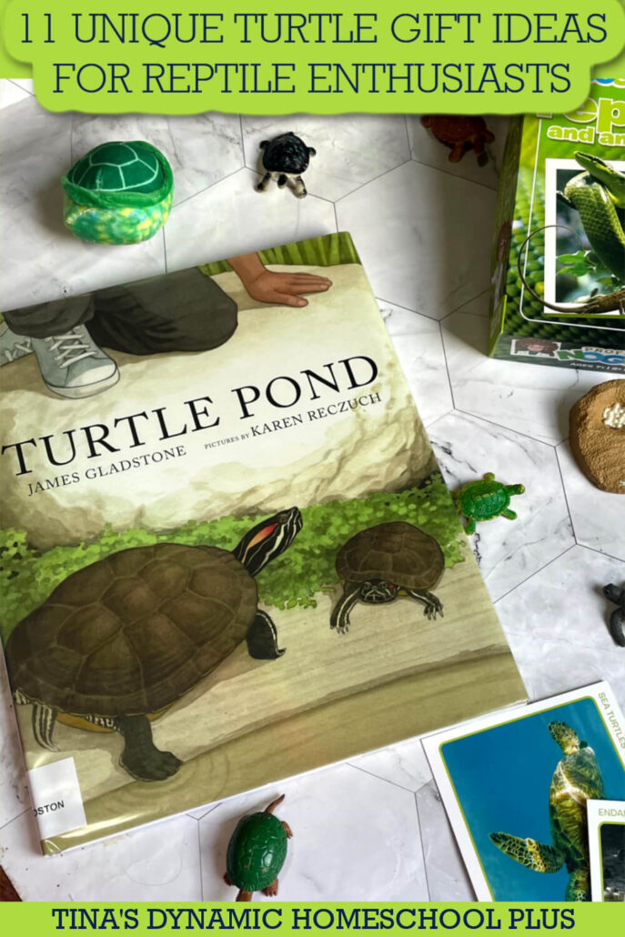 11 Unique Turtle Gift Ideas for Reptile Enthusiasts