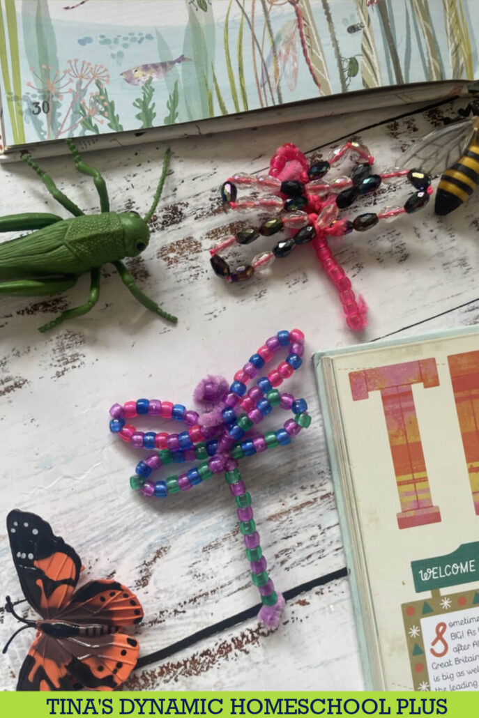 8 Insect Fun Facts About Texas For Kids | Easy Dragonfly Craft
