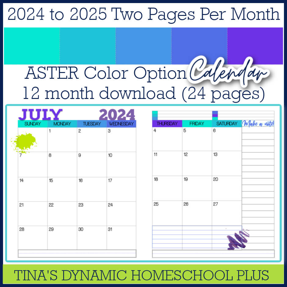 Beautiful and Colorful 2024 to 2025 Aster Two Page Monthly Calendar