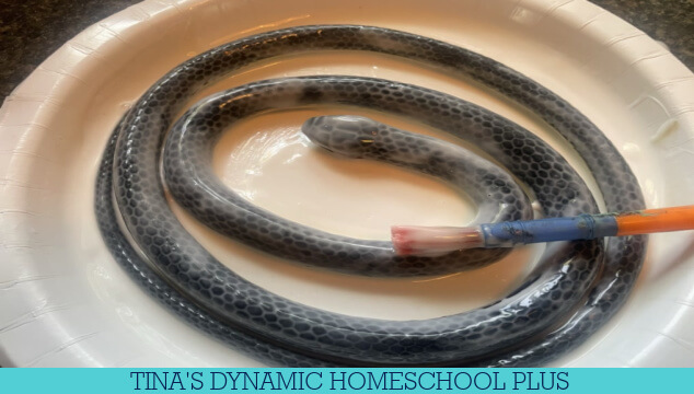 Celebrate Snakes | How To Make A Fake Snakeskin Snake Craft Preschool