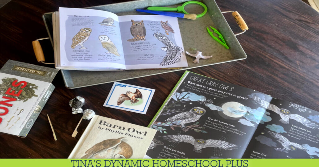 Free Kids Owl Unit Study Ideas | How to Dissect Pellets