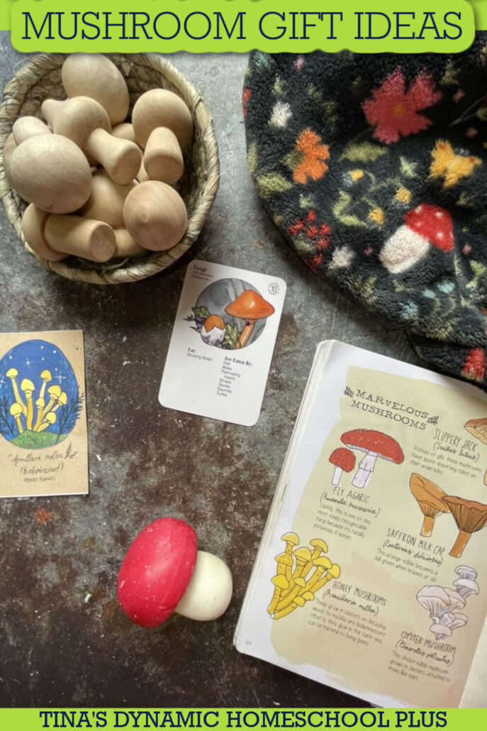 Fungi Fun: 11 Unconventional Mushroom Gift Ideas for the Adventurous Spirit
